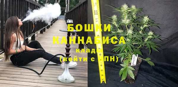 шишки Балахна