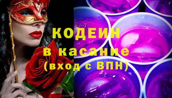 индика Щучье