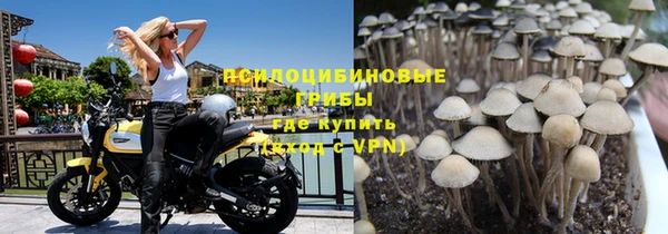 не бодяженный Щигры