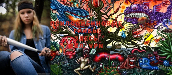 PSILOCYBIN Алексин
