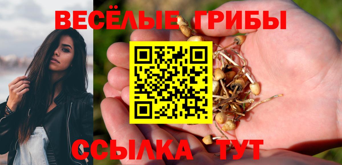 Галлюциногенные грибы прущие грибы  Галлюциногенные грибы Psilocybe  Вход с VPN  Миасс 