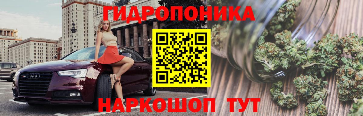 Шишки марихуана семена  Вход с VPN  Марихуана индика  Канабис тримм  Миасс 